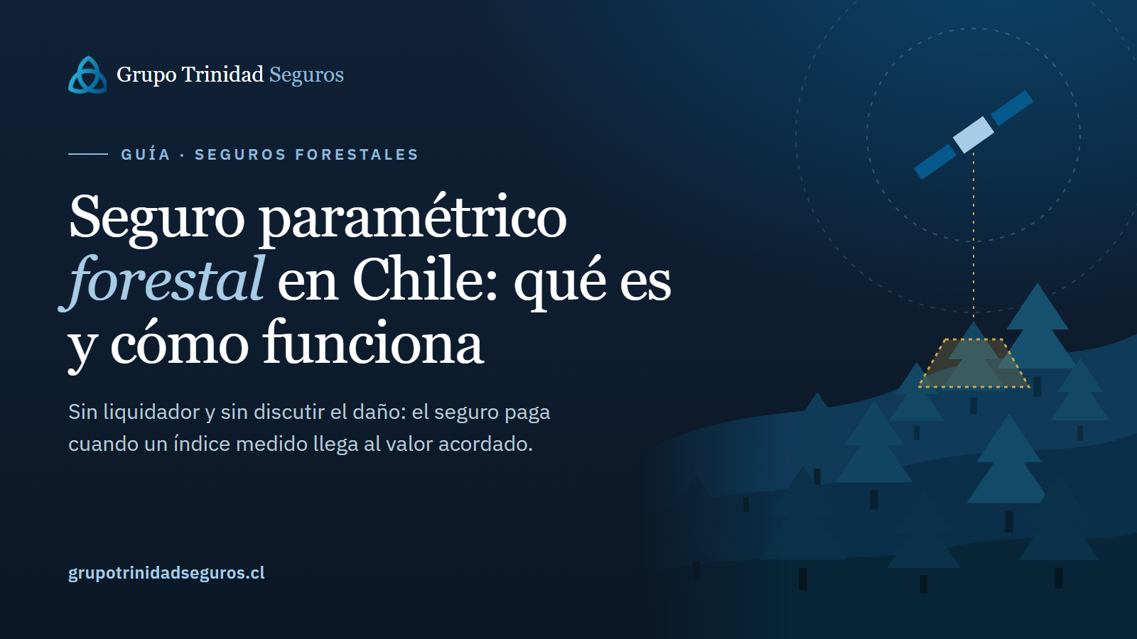 Plantación de pinos con una línea de medición satelital sobre el cerro
