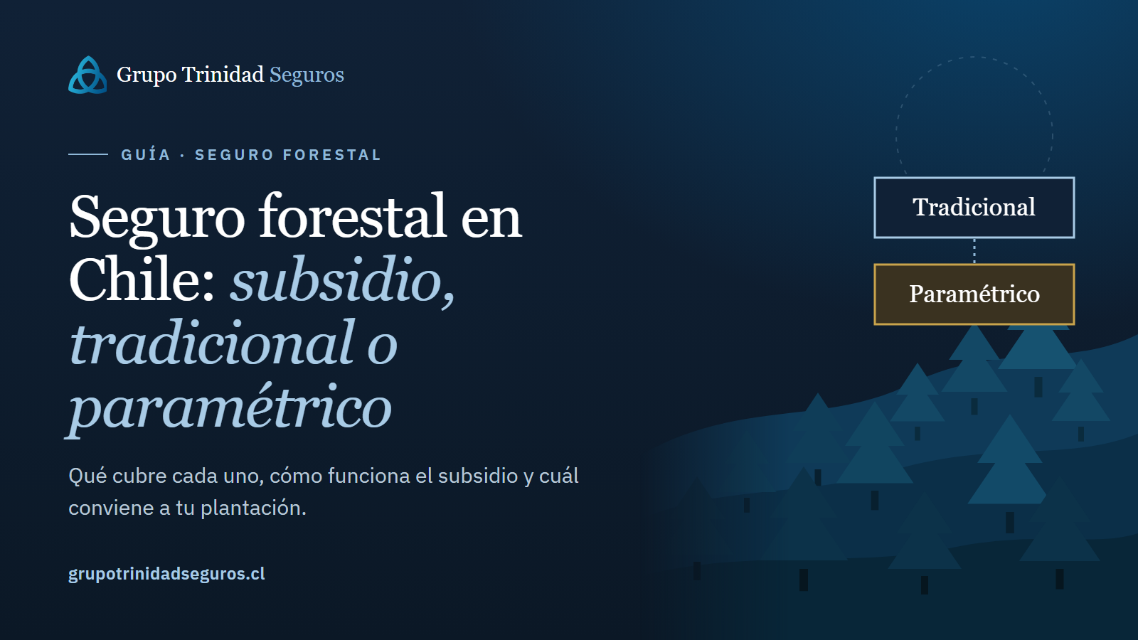 Dos caminos entre pinos, uno para cada tipo de seguro forestal